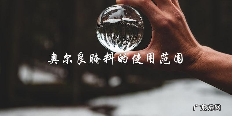 奥尔良腌料的使用方法大