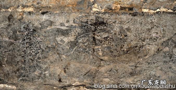 寿春是哪几个朝代古都 寿春是现在的哪里