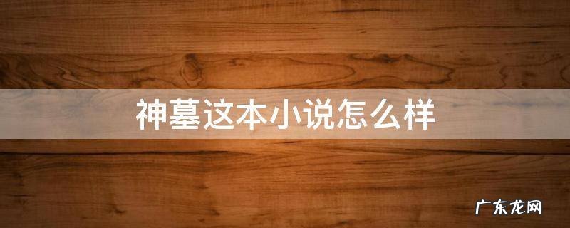 神墓这本小说怎么样