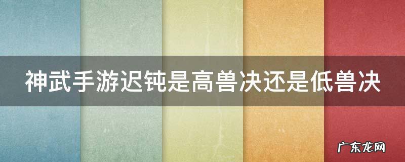 神武手游迟钝是高兽决还是低兽决