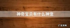 神奇宝贝有什么神宠
