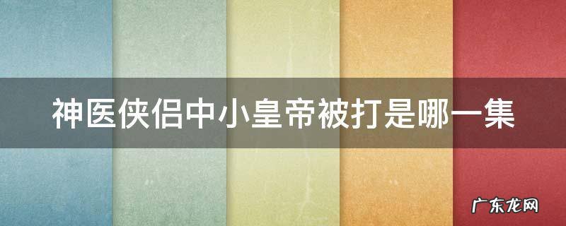 神医侠侣中小皇帝被打是哪一集
