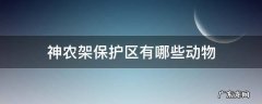 神农架保护区有哪些动物
