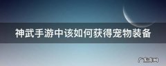 神武手游中该如何获得宠物装备