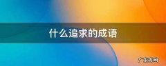 什么追求的成语
