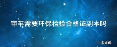 审车需要环保检验合格证副本吗