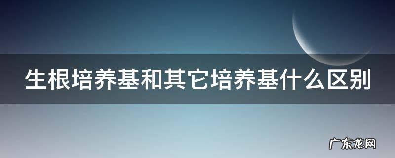 生根培养基和其它培养基什么区别