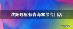 沈阳哪里有森海塞尔专门店