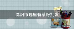 沈阳市哪里有菜籽批发