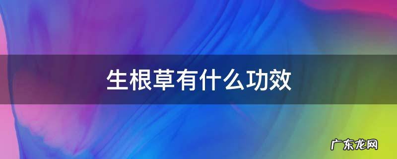 生根草有什么功效