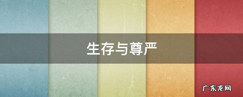 生存与尊严