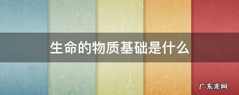 生命的物质基础是什么