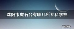 沈阳市虎石台有哪几所专科学校
