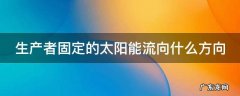 生产者固定的太阳能流向什么方向