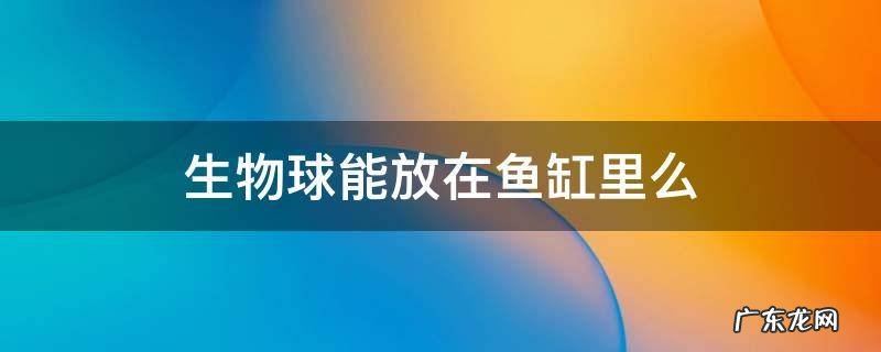 生物球能放在鱼缸里么