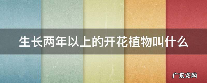 生长两年以上的开花植物叫什么
