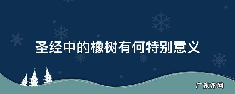 圣经中的橡树有何特别意义