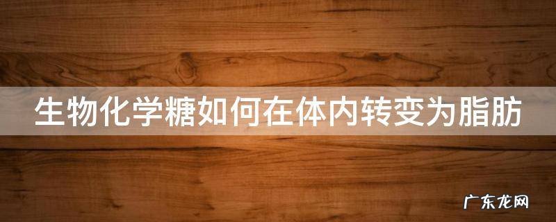 生物化学糖如何在体内转变为脂肪