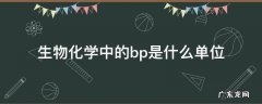 生物化学中的bp是什么单位