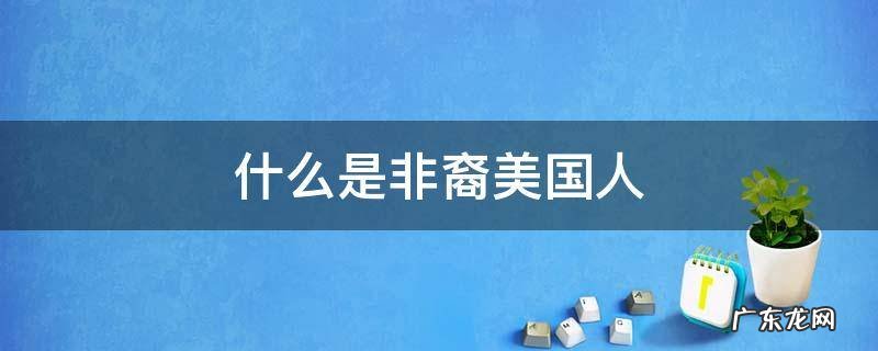 什么是非裔美国人