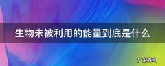 生物未被利用的能量到底是什么
