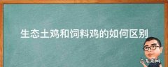 生态土鸡和饲料鸡的如何区别