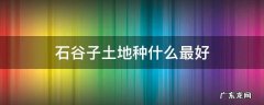 石谷子土地种什么最好