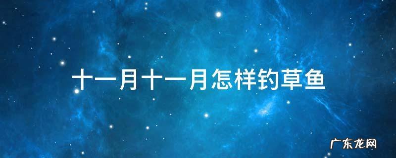 十一月十一月怎样钓草鱼