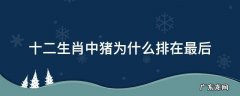 十二生肖中猪为什么排在最后