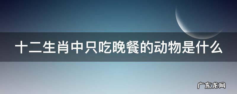 十二生肖中只吃晚餐的动物是什么