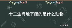十二生肖地下爬的是什么动物