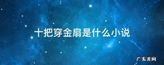 十把穿金扇是什么小说