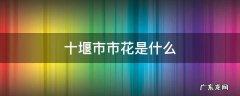 十堰市市花是什么