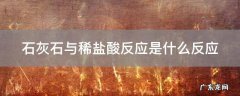 石灰石与稀盐酸反应是什么反应