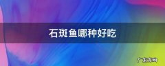 石斑鱼哪种好吃
