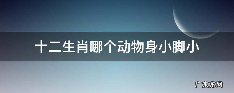十二生肖哪个动物身小脚小