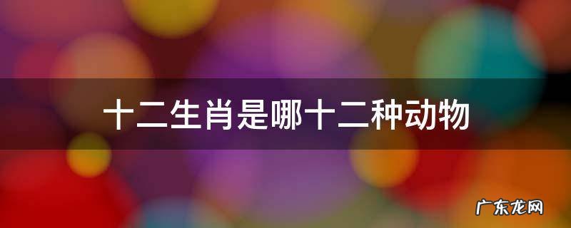 十二生肖是哪十二种动物