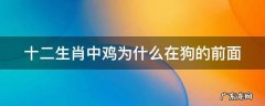 十二生肖中鸡为什么在狗的前面