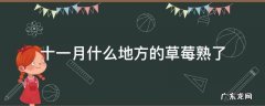 十一月什么地方的草莓熟了