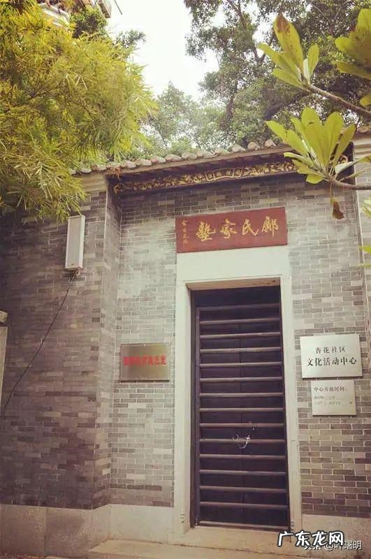 风水宝地怎么看龙脉视频 高州市龙脉风水宝地在哪里