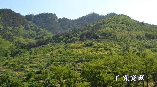 风水中的上堂水 风水明堂有水