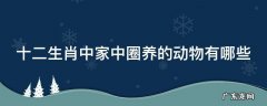 十二生肖中家中圈养的动物有哪些