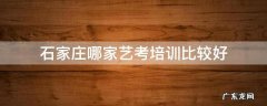石家庄哪家艺考培训比较好