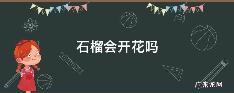 石榴会开花吗