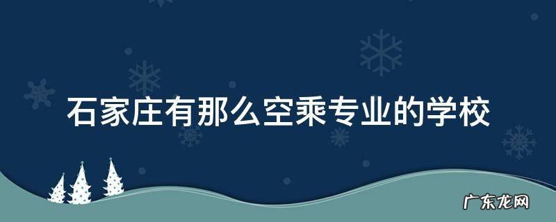 石家庄有那么空乘专业的学校