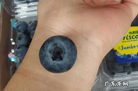 一盒蓝莓里面有烂的能吃吗 蓝莓怎么看有没有坏
