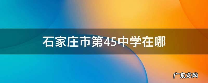 石家庄市第45中学在哪