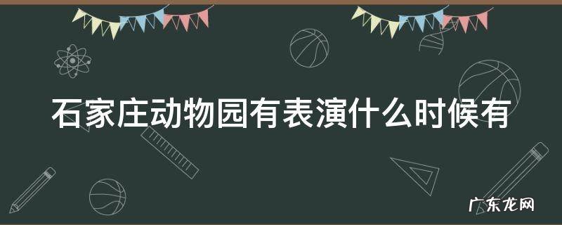 石家庄动物园有表演什么时候有