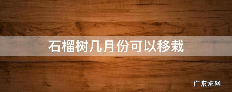 石榴树几月份可以移栽