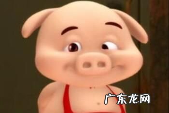 小呆呆睿智眼神表情包大全分享